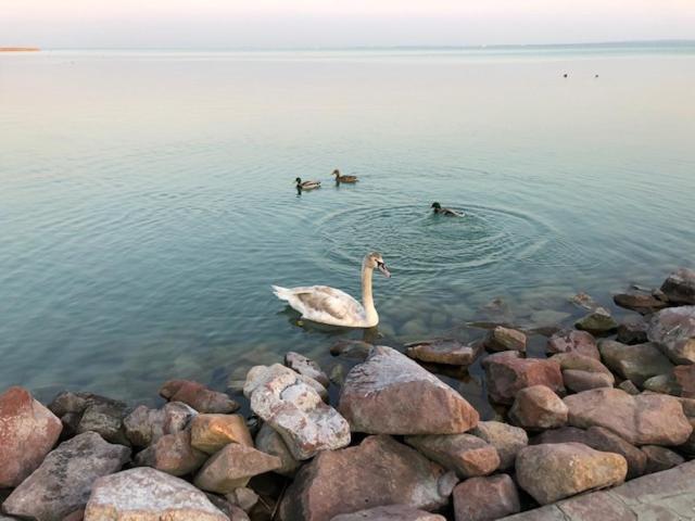 Hotel Astoria Balatonfured Bagian luar foto